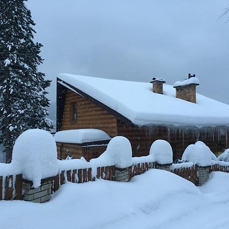 Dom Na Cienkowie Villa Wisla Exterior photo